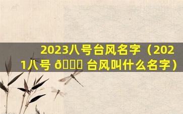 2023八号台风名字（2021八号 🕊 台风叫什么名字）